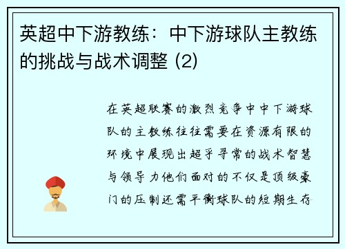 英超中下游教练：中下游球队主教练的挑战与战术调整 (2)